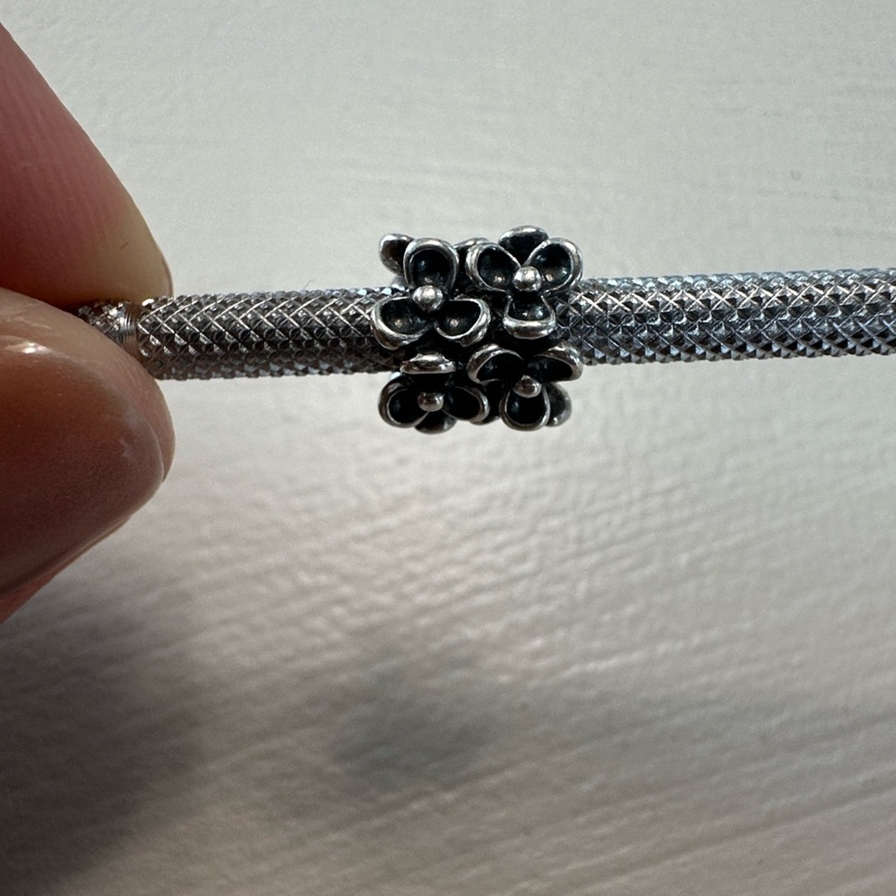 Pandora Wanda’s Garden Floral Spacers - Retired